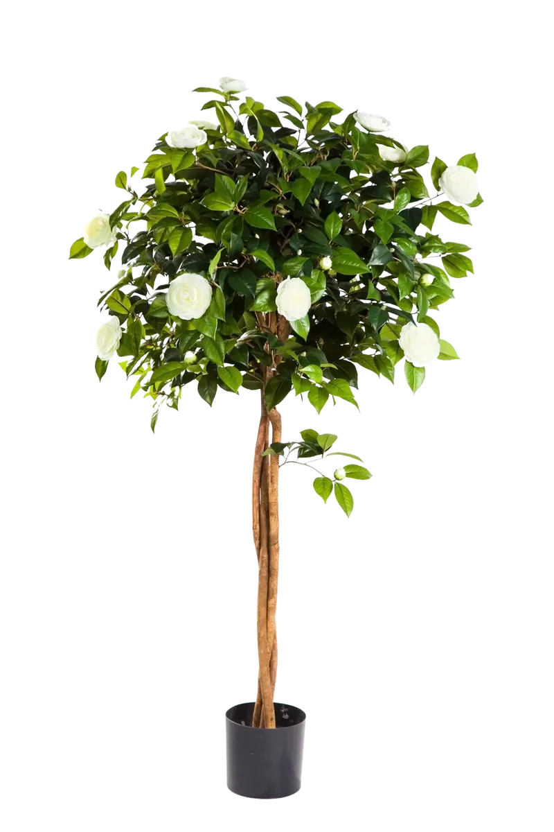 Künstlicher Kamelienbaum - Pina | 130 cm