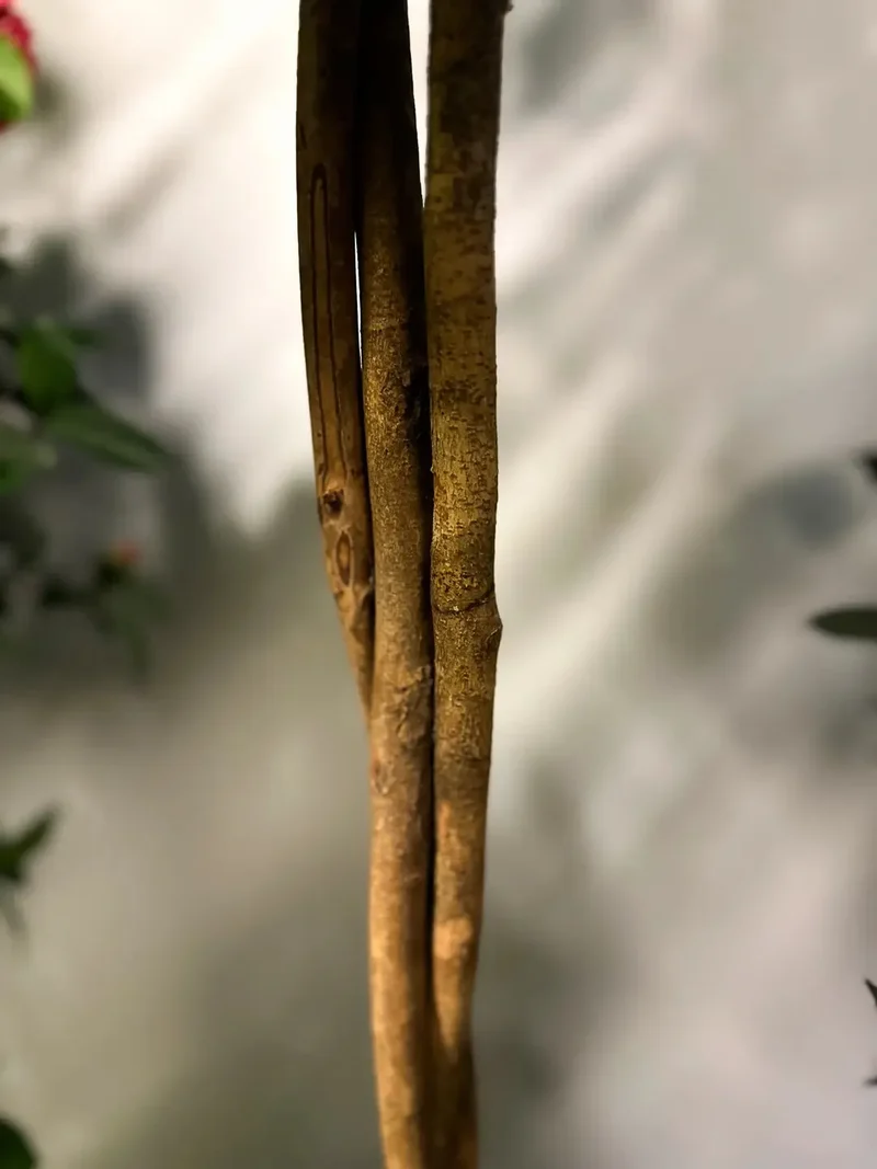 Künstlicher Kamelienbaum - Pina | 130 cm