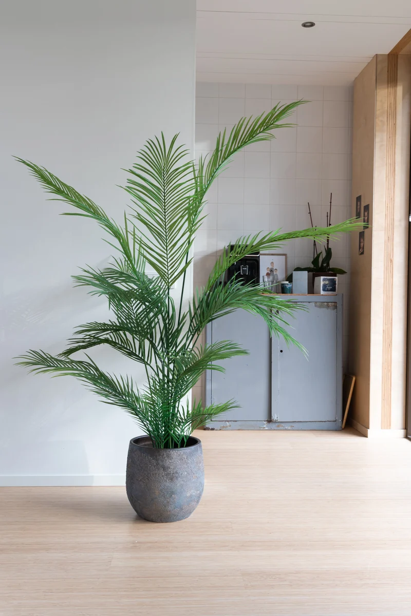 Palme Kunstpflanze 180cm