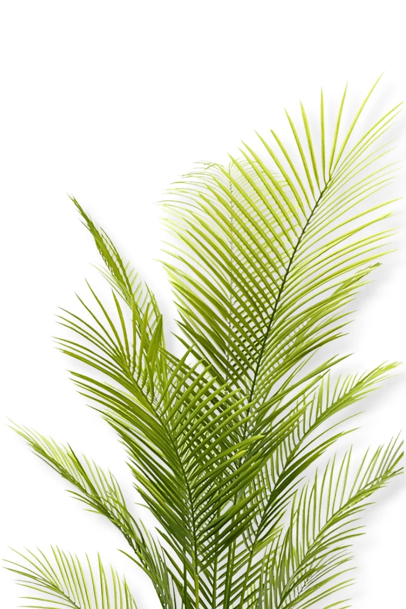 Palme Kunstpflanze 180cm