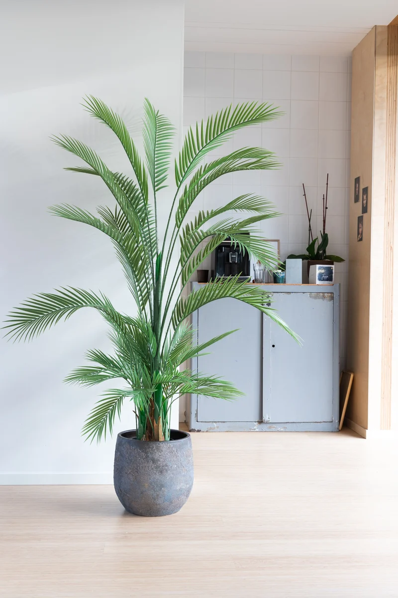 Palme Kunstpflanze 180cm