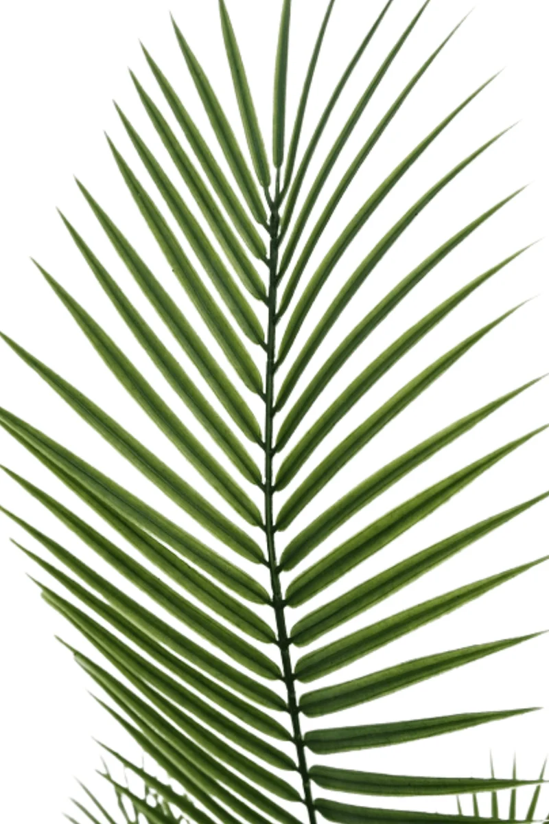Palme Kunstpflanze 180cm