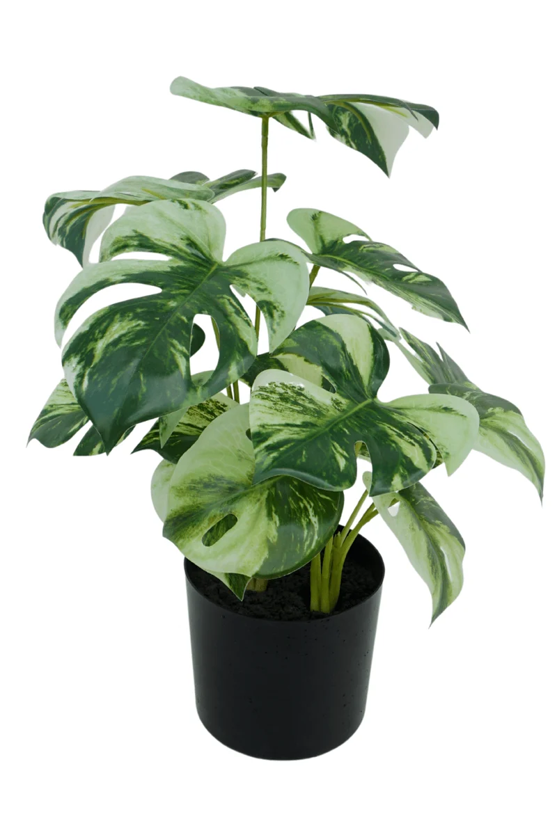 Monstera Kunstpflanze 40cm