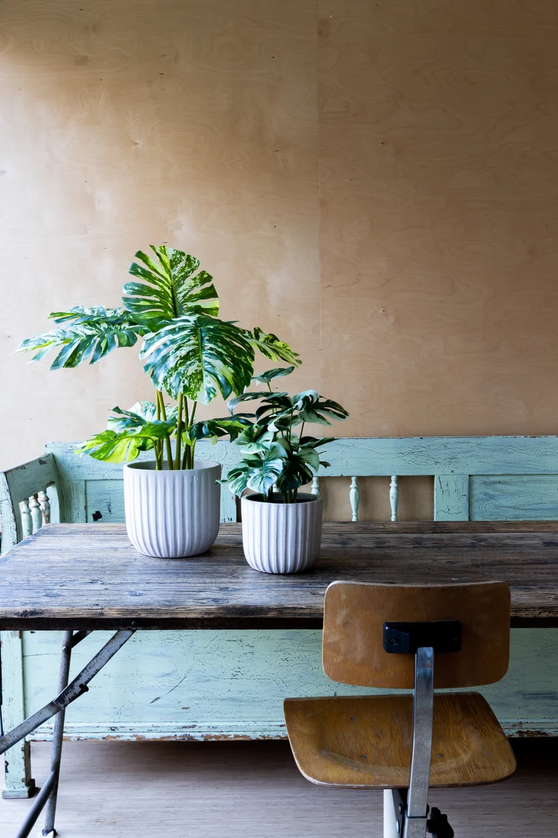 Monstera Kunstpflanze 40cm