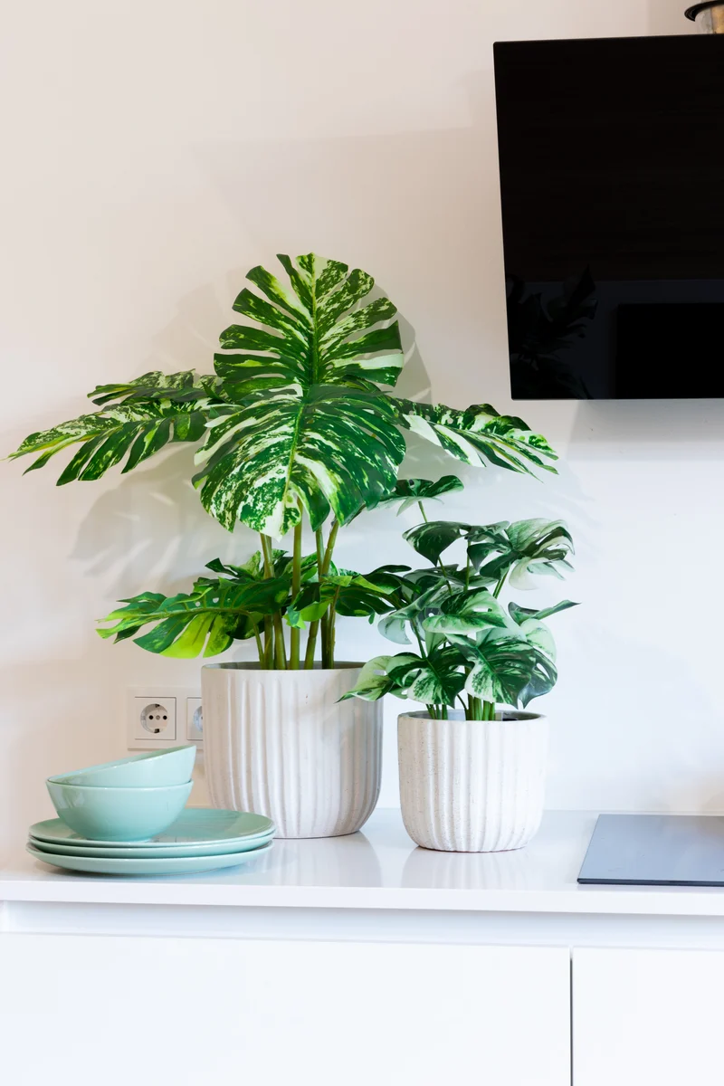Monstera Kunstpflanze 40cm