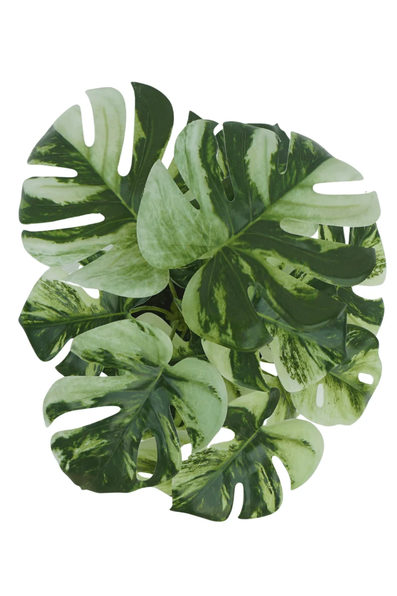 Monstera Kunstpflanze 40cm