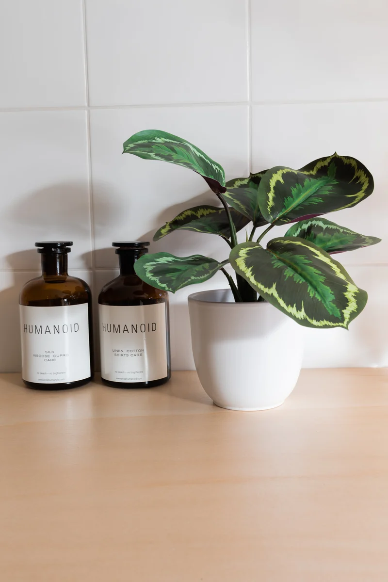 Calathea Kunstpflanze 25cm
