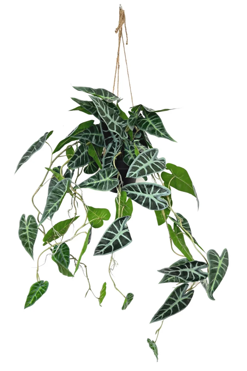 Caladium künstliche Hängepflanze 95cm