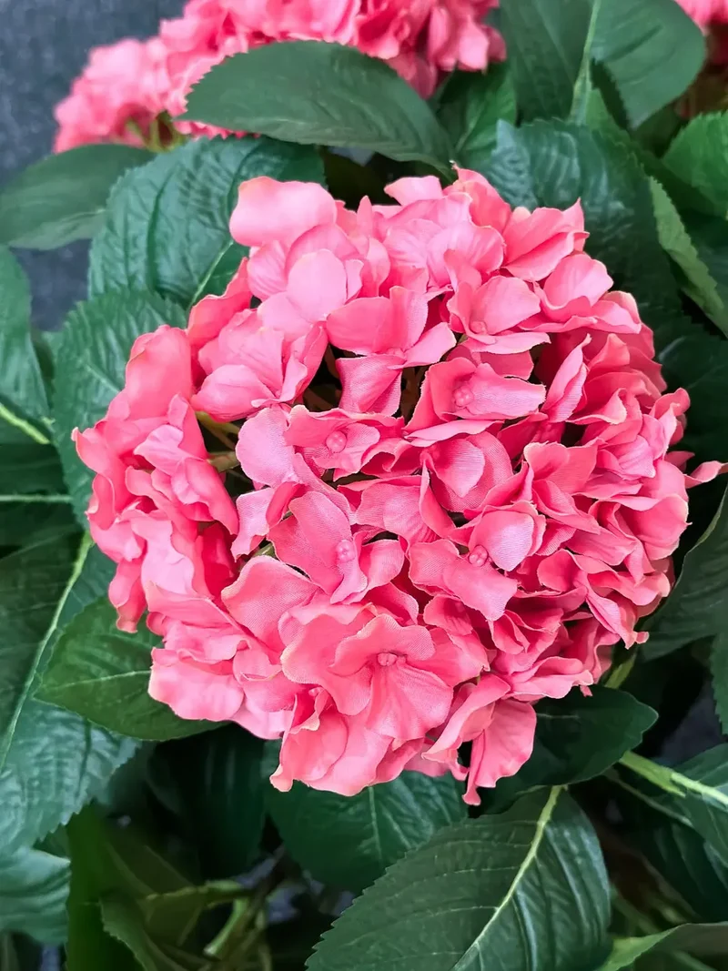 Künstliche Hortensie - Nils | 53 cm