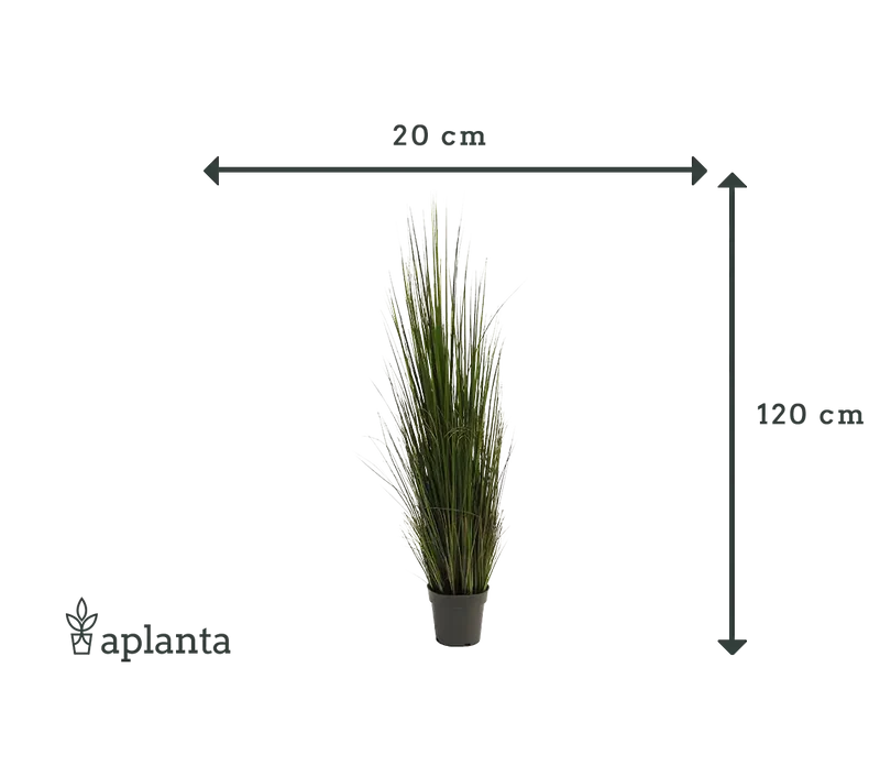 Künstliches Gras - Hanno | 120 cm