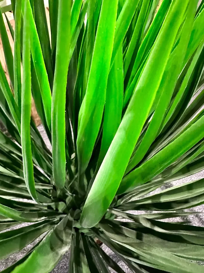 Künstliche Yucca Rostrata Palme - Sven | 82 cm