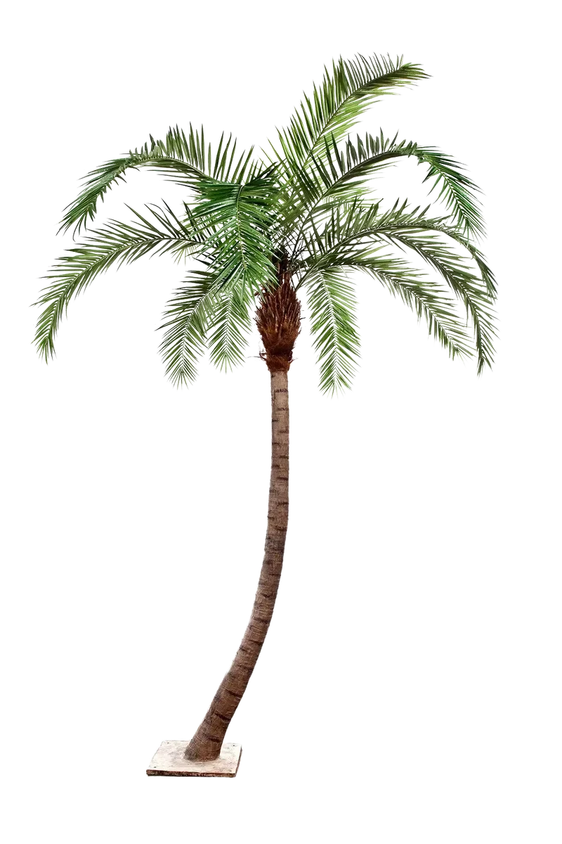 Künstliche Phoenixpalme - Simon | 300 cm