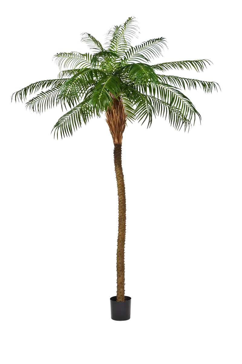 Künstliche Dattelpalme - Kaan | 280 cm