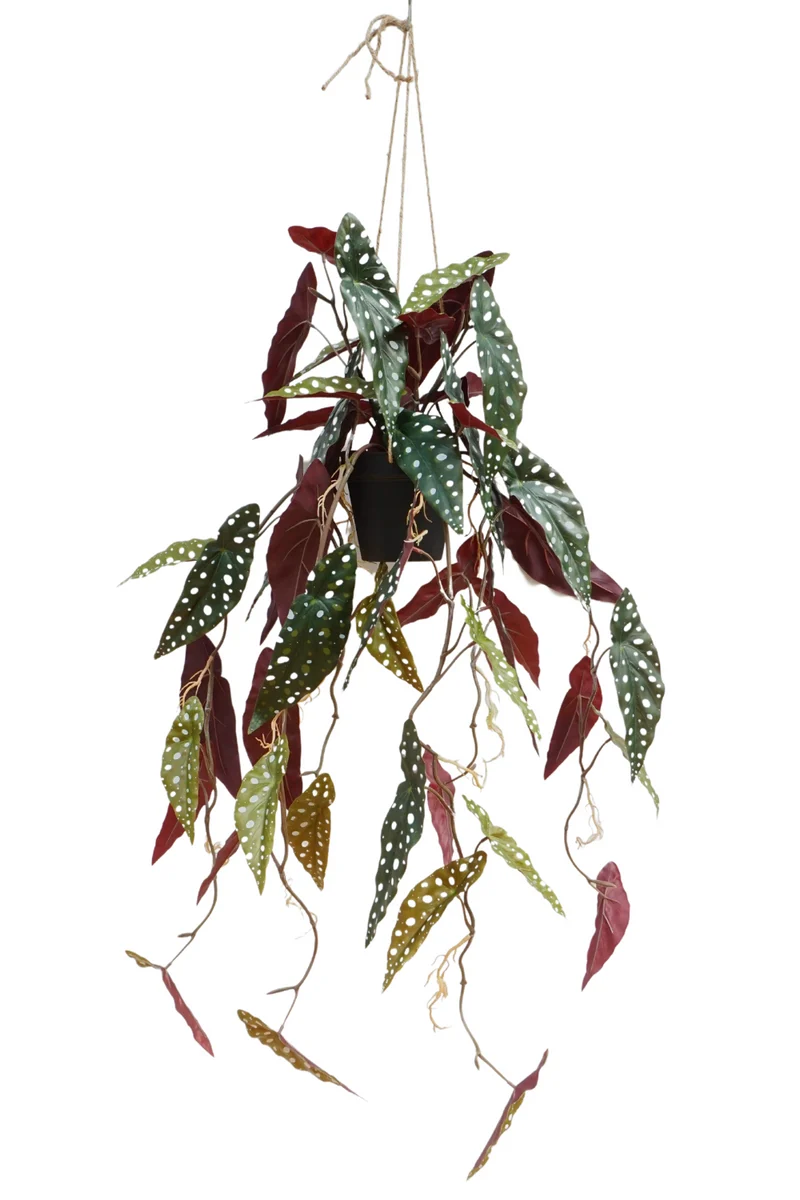 Begonia Maculata künstliche Hängepflanze 95cm