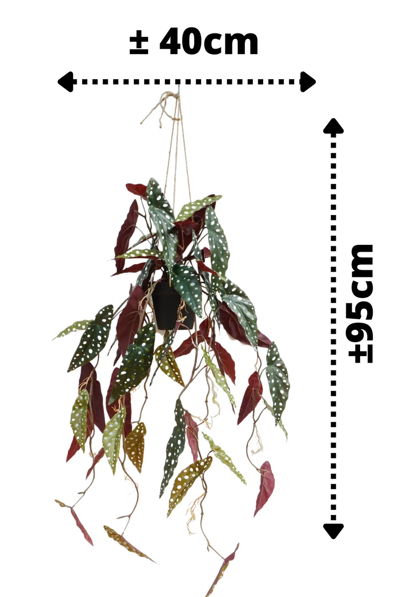 Begonia Maculata künstliche Hängepflanze 95cm