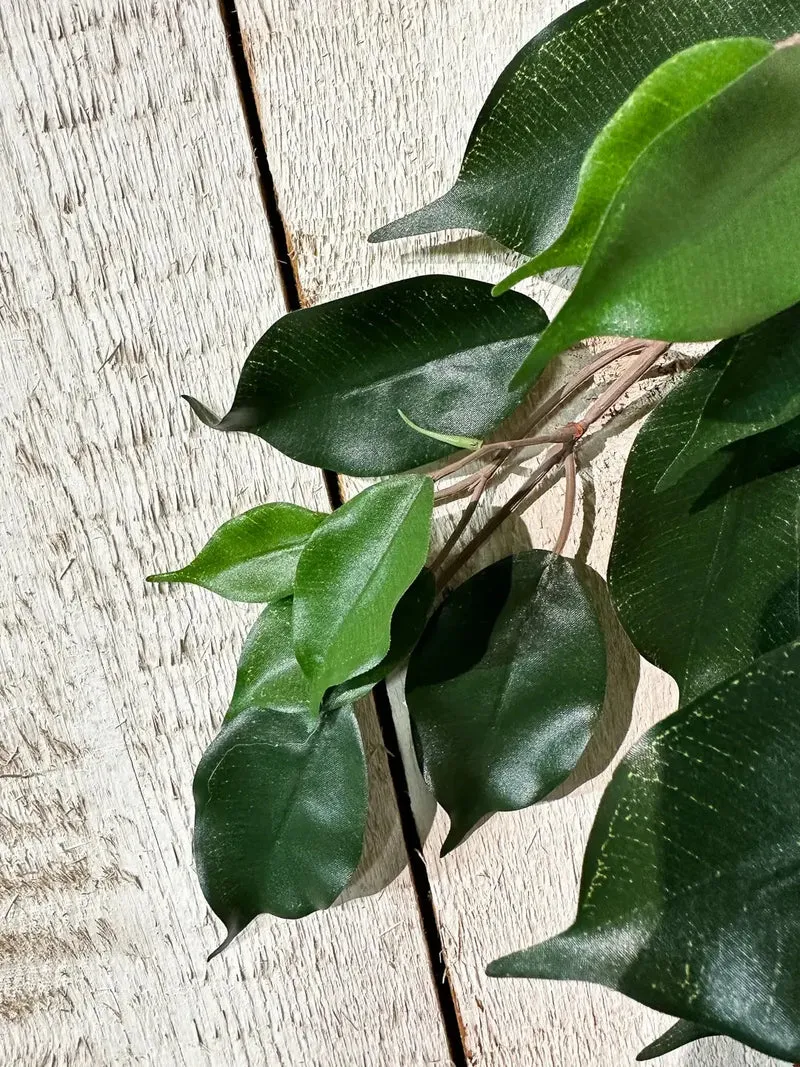 Künstlicher Ficus-Zweig - Georgia