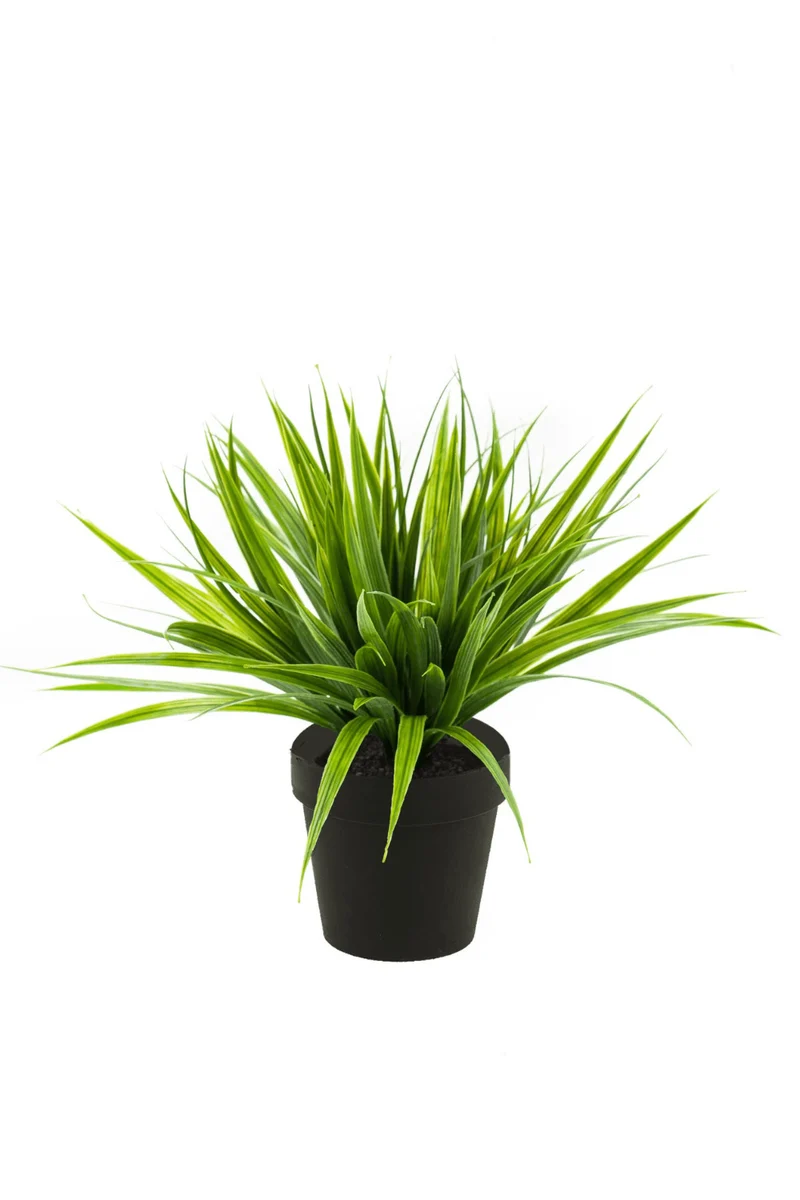 Graspflanze Kunstpflanze 35cm