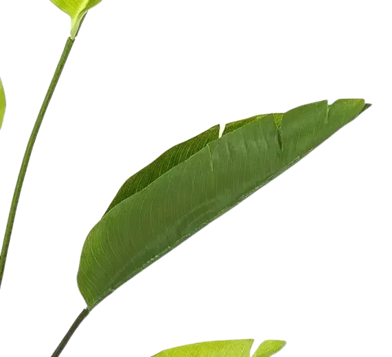Künstliche Strelitzia - Colin | 150 cm