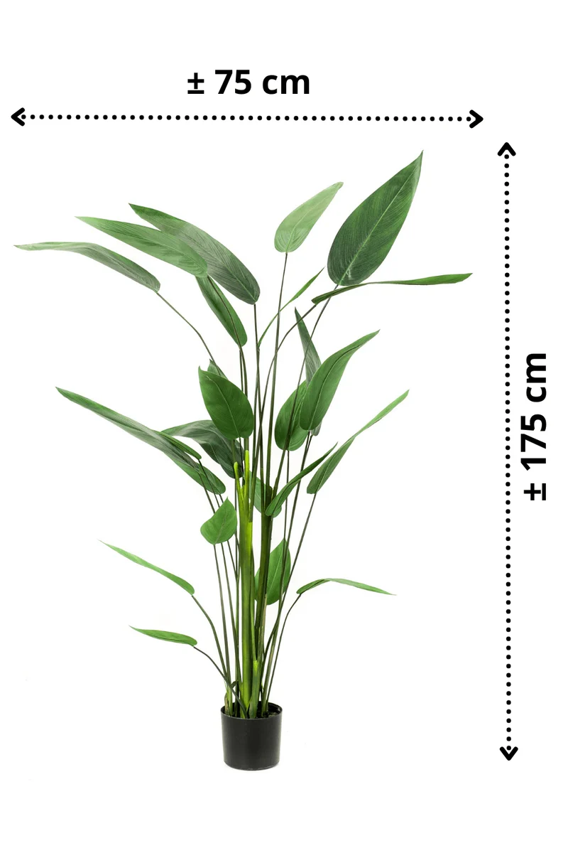 Heliconia Kunstpflanze 175cm