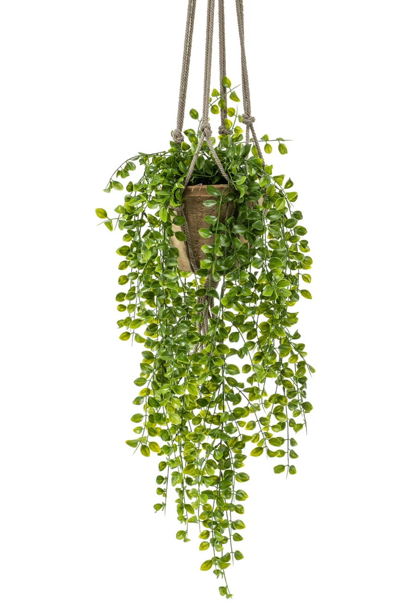 Ficus Pumilla künstliche Hängepflanze 80cm