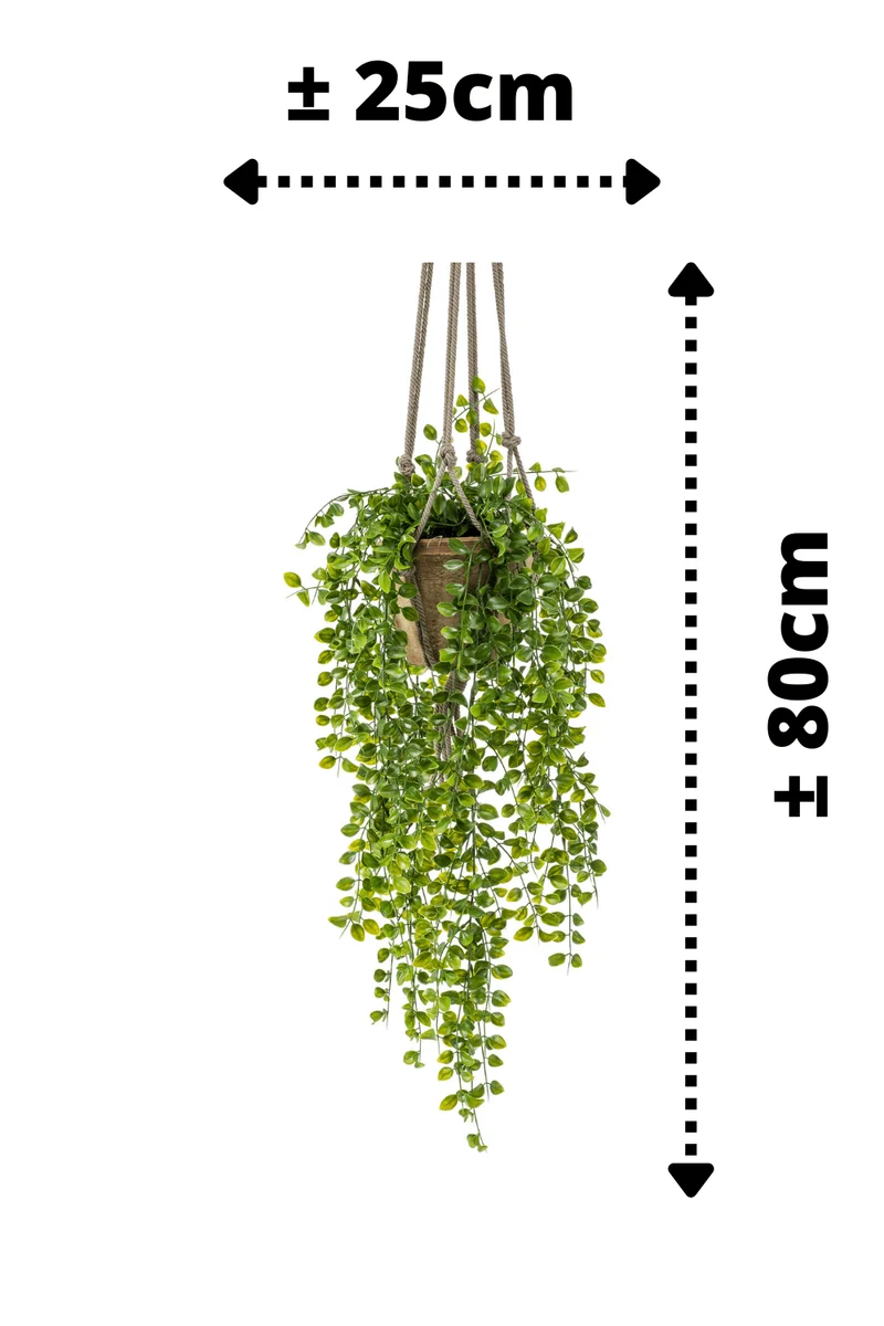 Ficus Pumilla künstliche Hängepflanze 80cm