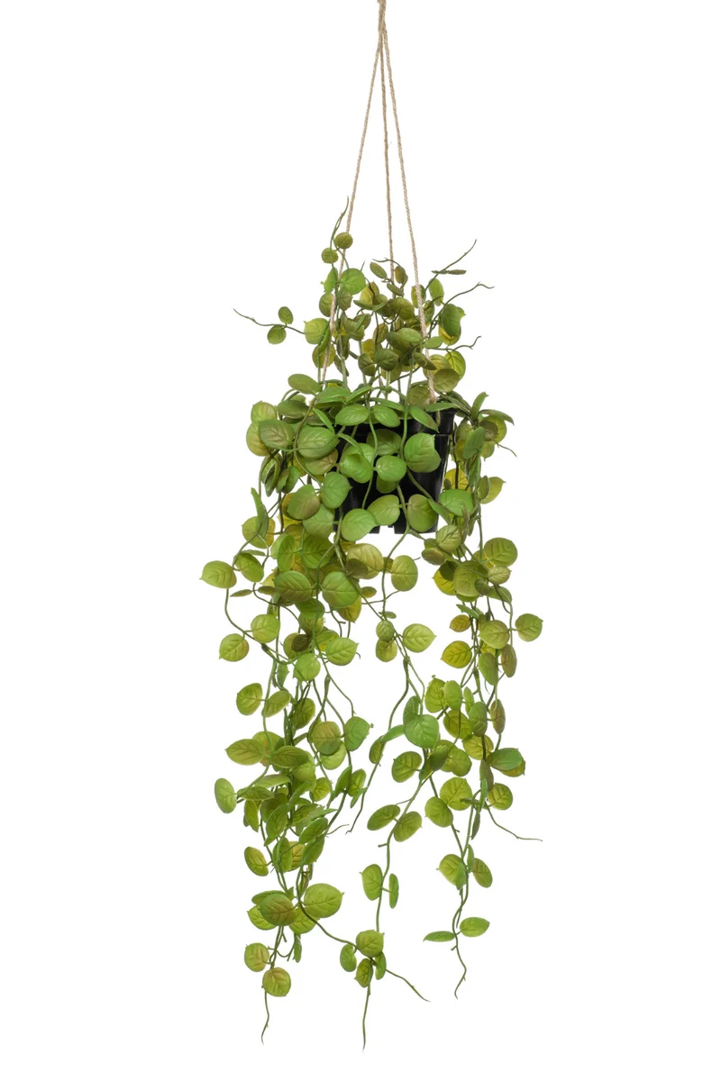 Ceropegia künstliche Hängepflanze 50cm