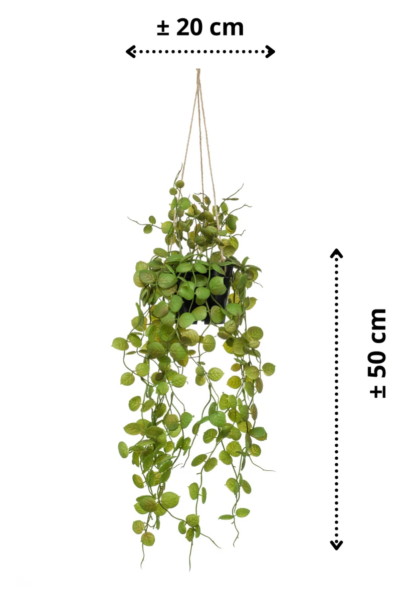 Ceropegia künstliche Hängepflanze 50cm