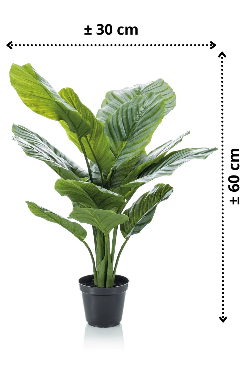 Calathea Kunstpflanze 60cm