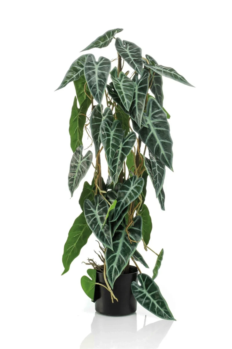 Alocasia Kunstpflanze auf Stamm 75cm