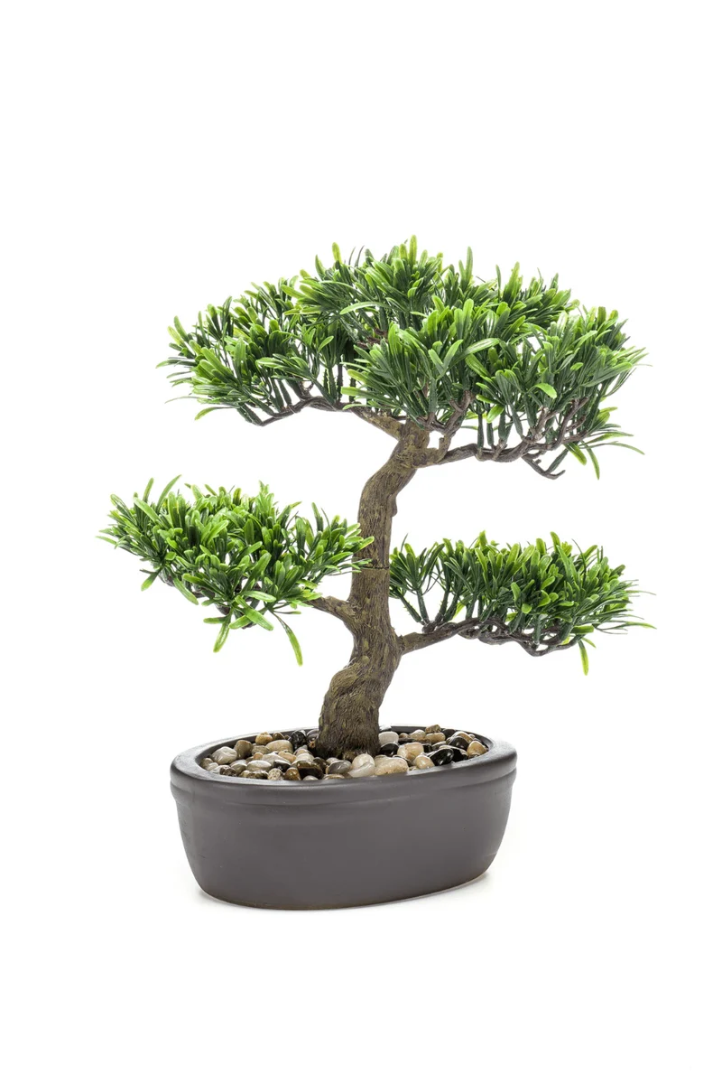 Bonsai Podocarpus Kunstpflanze 32cm