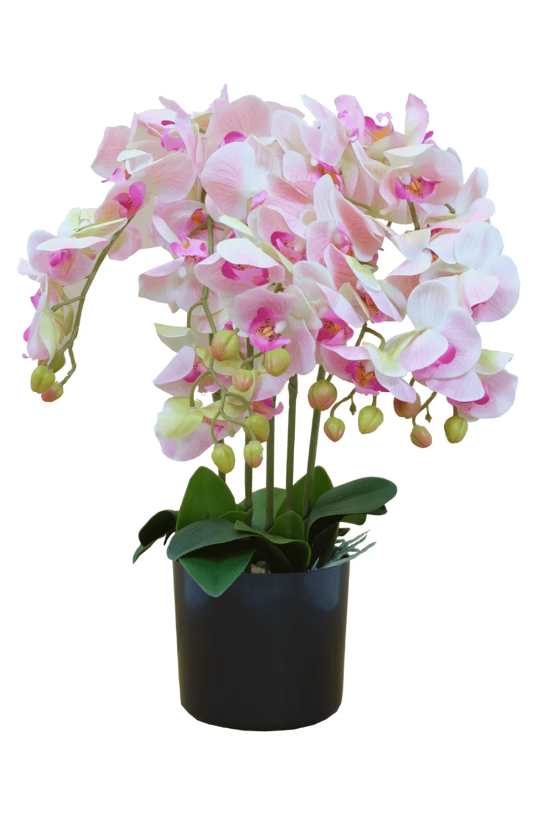 Orchidee Kunstpflanze Hellrosa 70cm