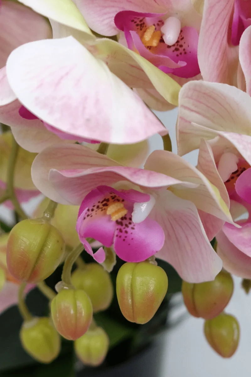 Orchidee Kunstpflanze Hellrosa 70cm
