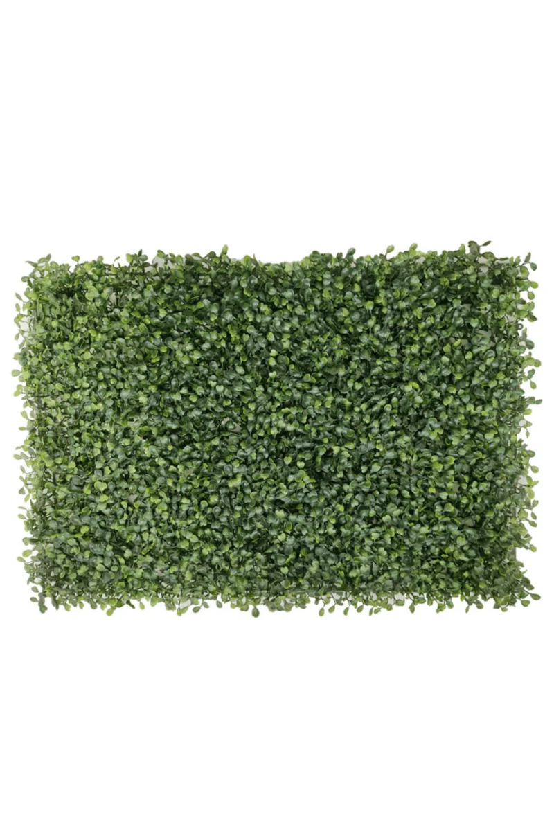 Buchsbaum Kunsthecke Wandpanel 60x40cm
