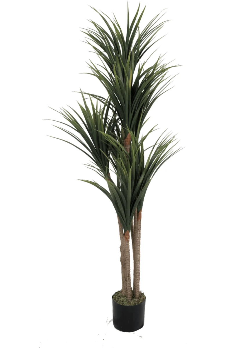 Dracaena Kunstpflanze 130cm
