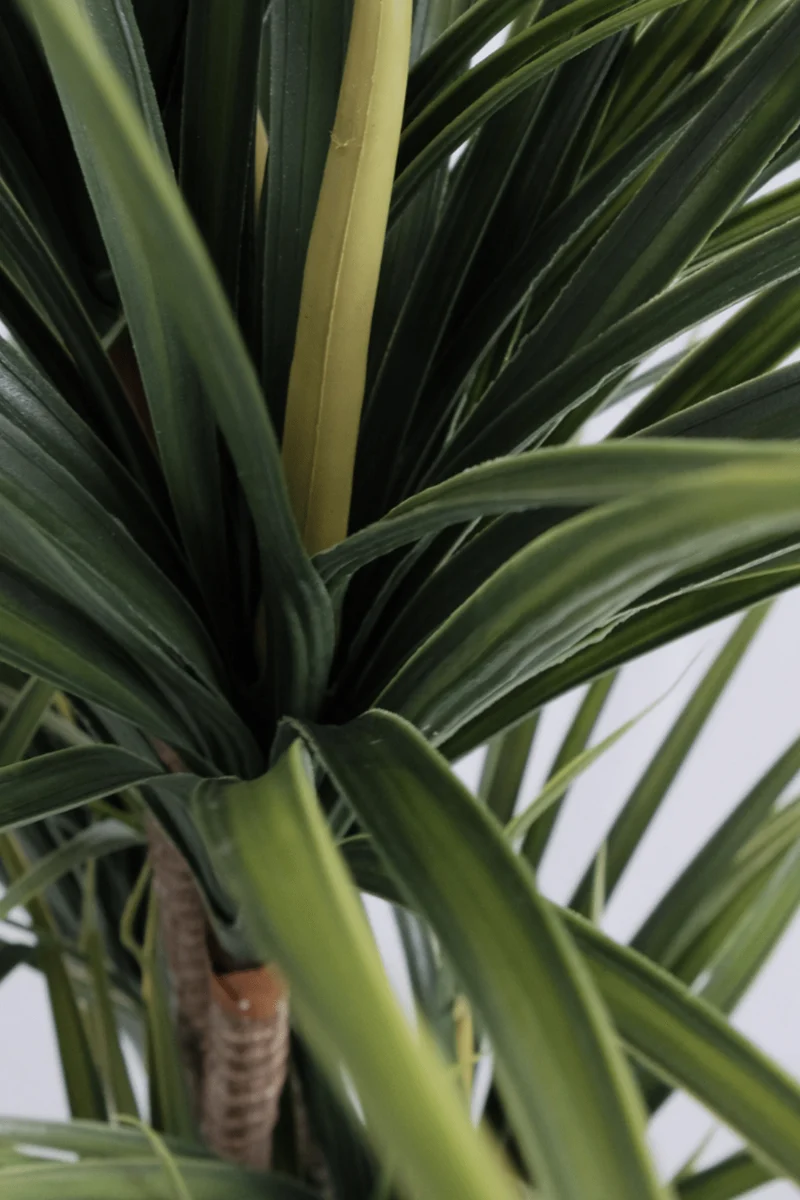 Dracaena Kunstpflanze 130cm