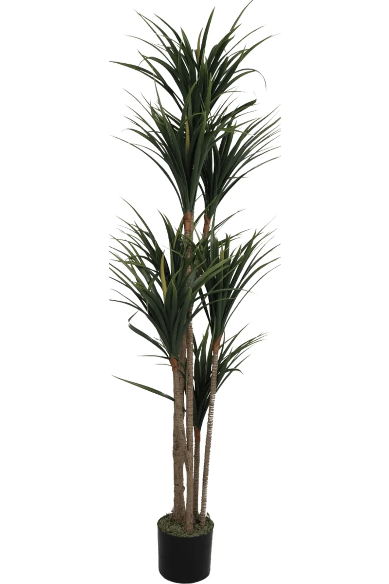 Dracaena Kunstpflanze 170cm