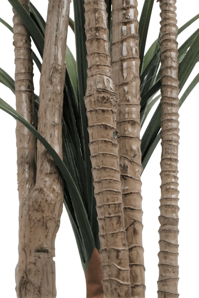 Dracaena Kunstpflanze 170cm