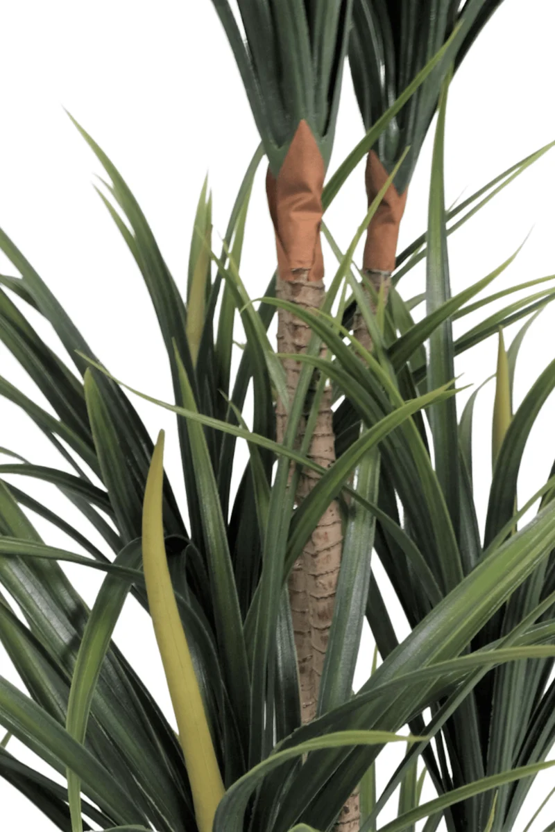 Dracaena Kunstpflanze 170cm