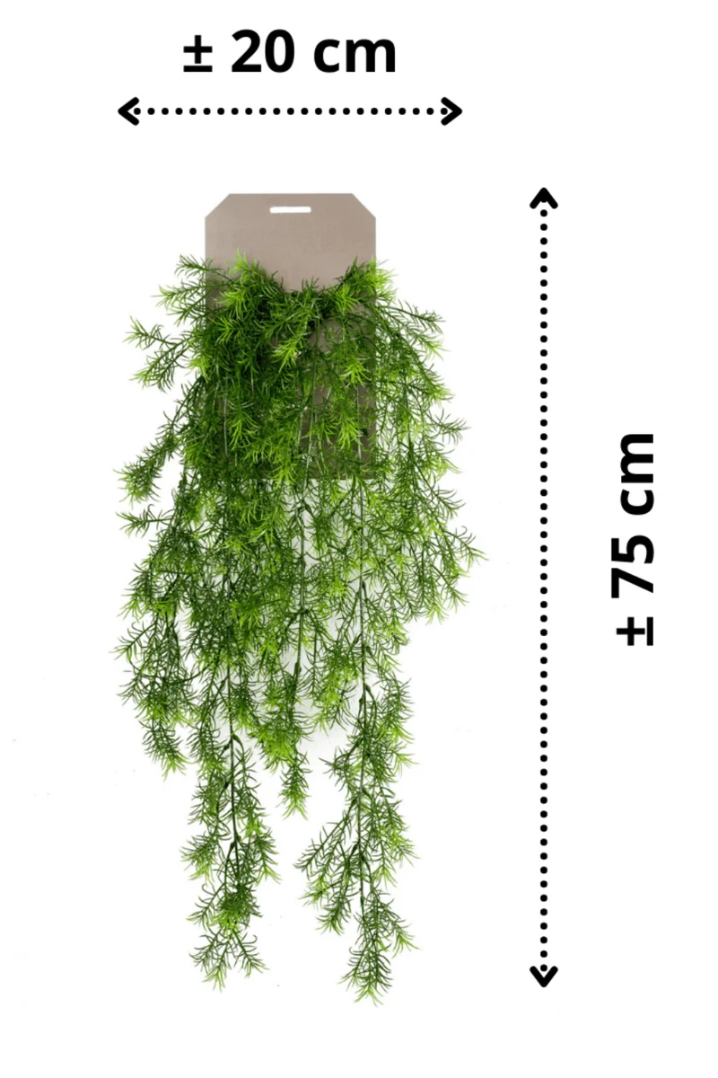 Asparagus Sprengeri Spargel künstliche Hängepflanze 75cm