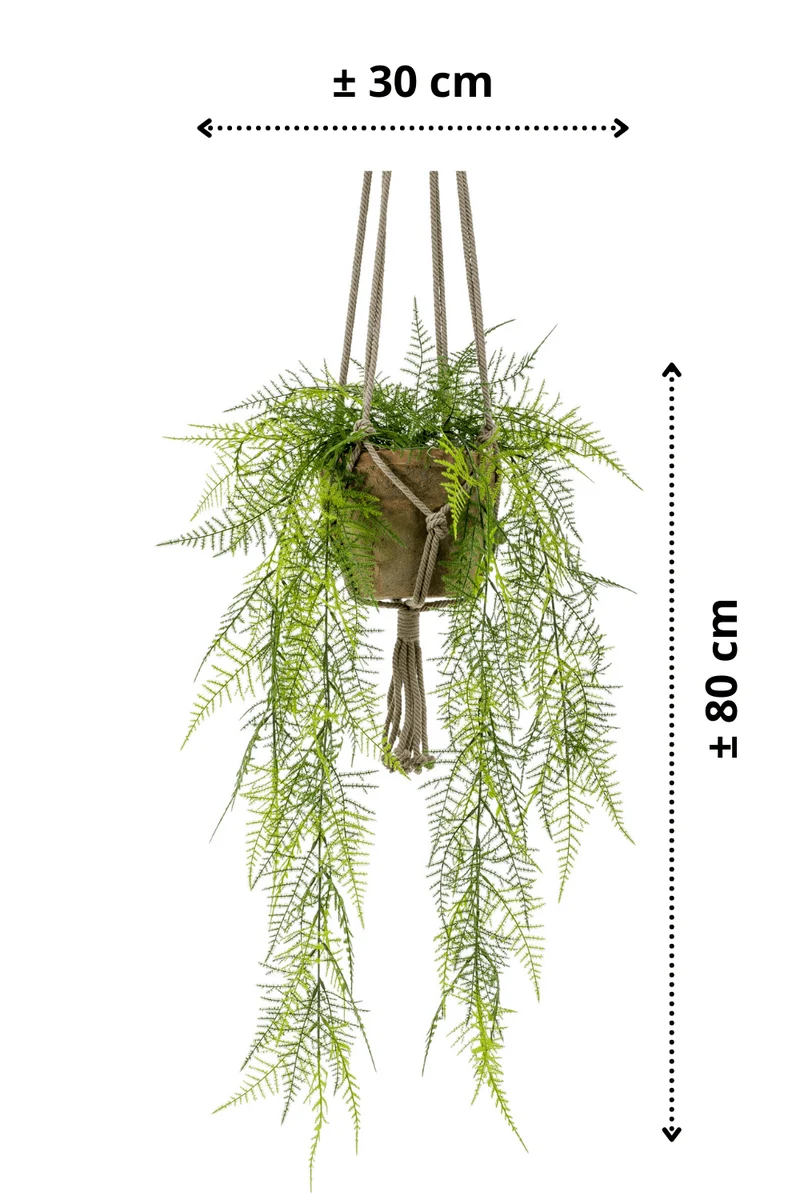 Spargel künstliche Hängepflanze 80cm mit Topf und Schnur