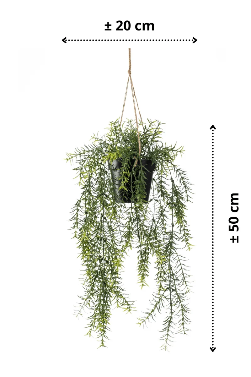 Spargel künstliche Hängepflanze 50cm mit Topf und Schnur