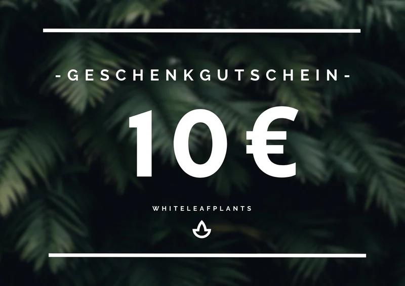 Geschenkgutschein (gedruckte Version)