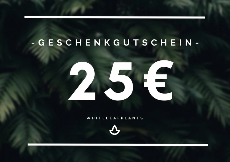 Geschenkgutschein (gedruckte Version)