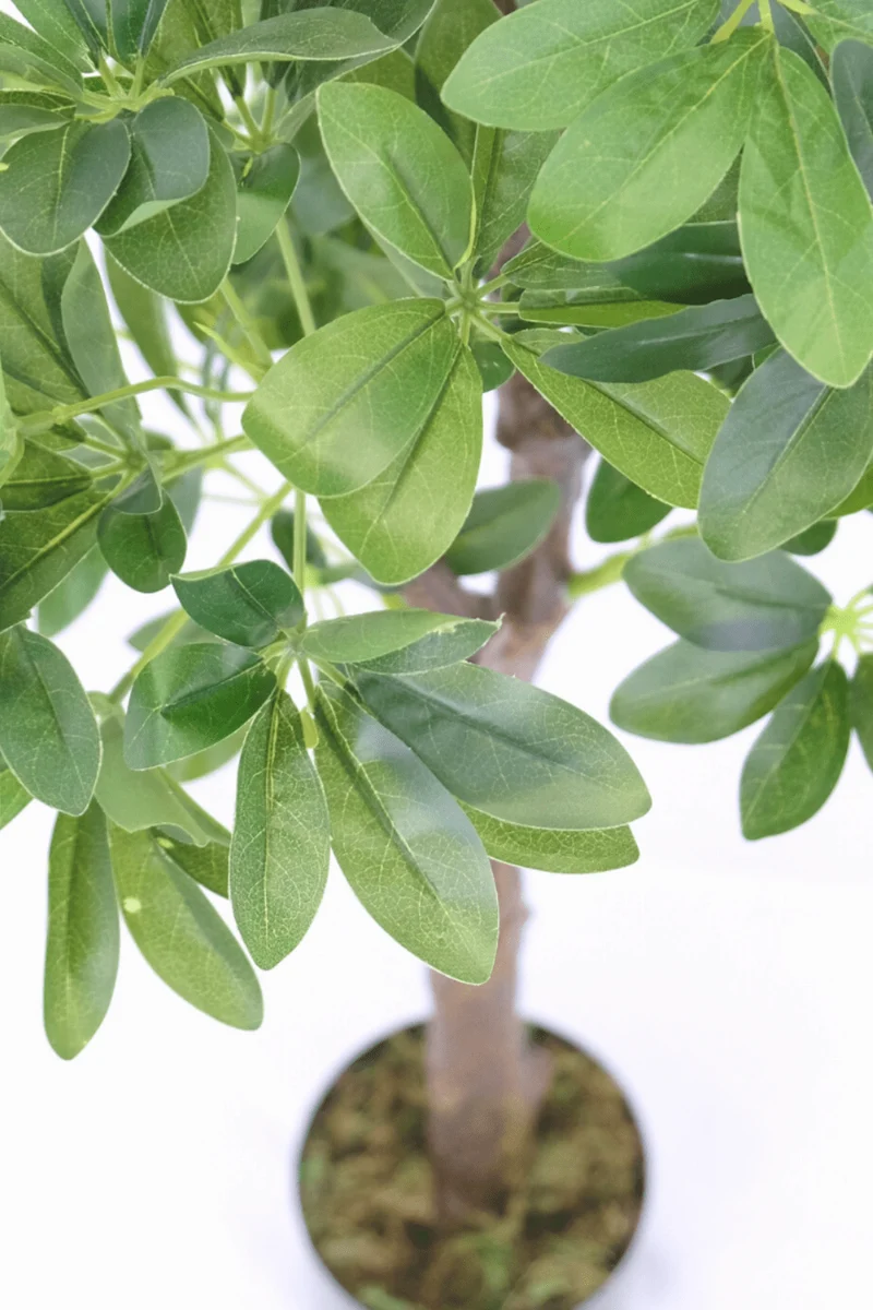 Schefflera Arboricola Kunstpflanze 120cm
