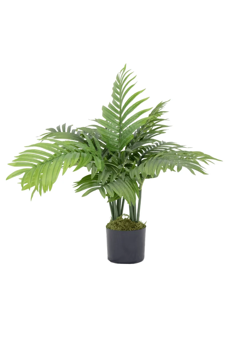 Palme Kunstpflanze 70cm