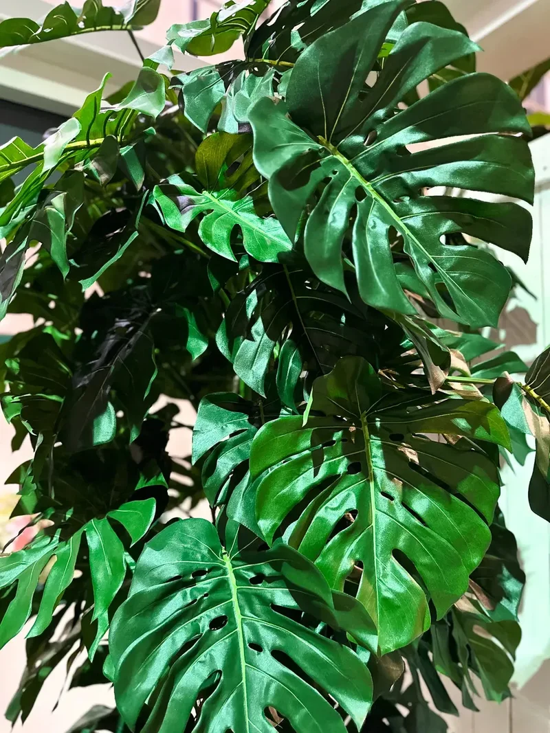 Künstliche Monstera - Chris | 280 cm