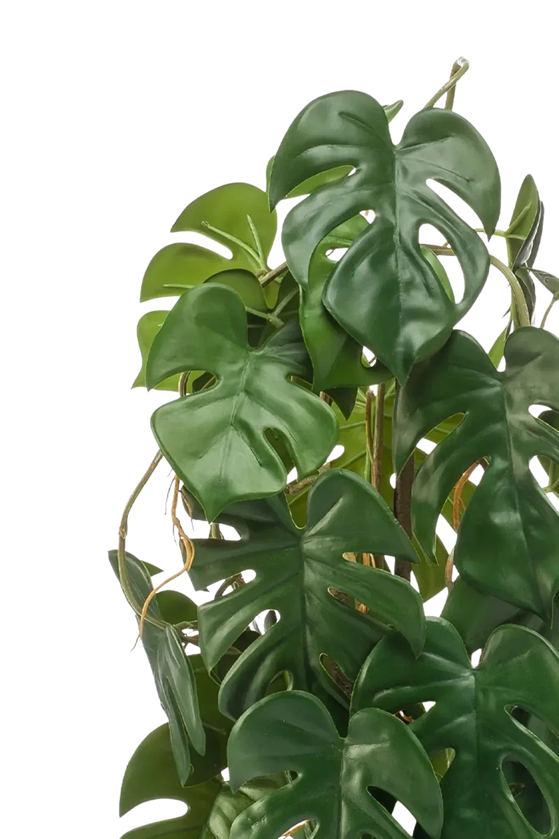 Künstliche Monstera - Luise | 75 cm