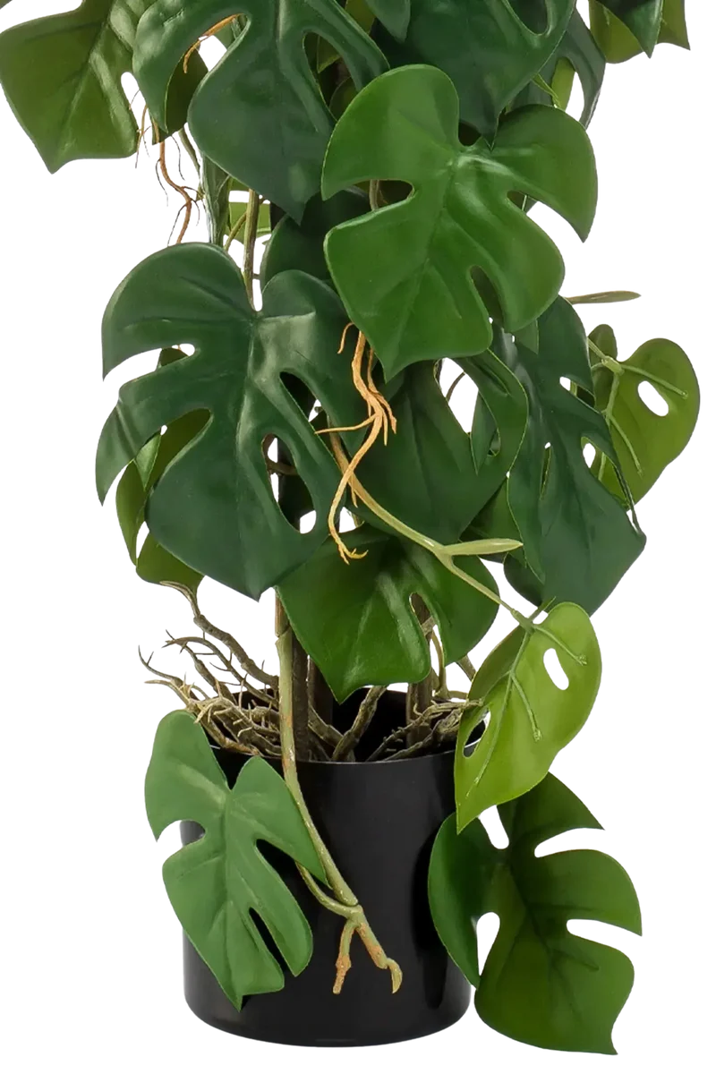 Künstliche Monstera - Luise | 75 cm