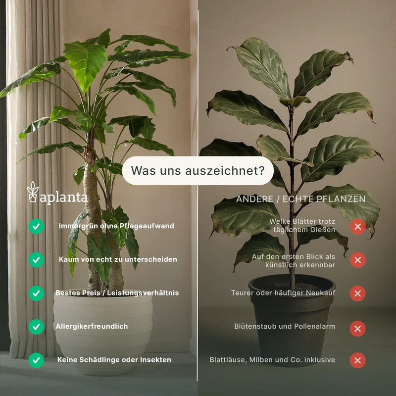 Künstliche Lorbeer - Teresa | 110 cm