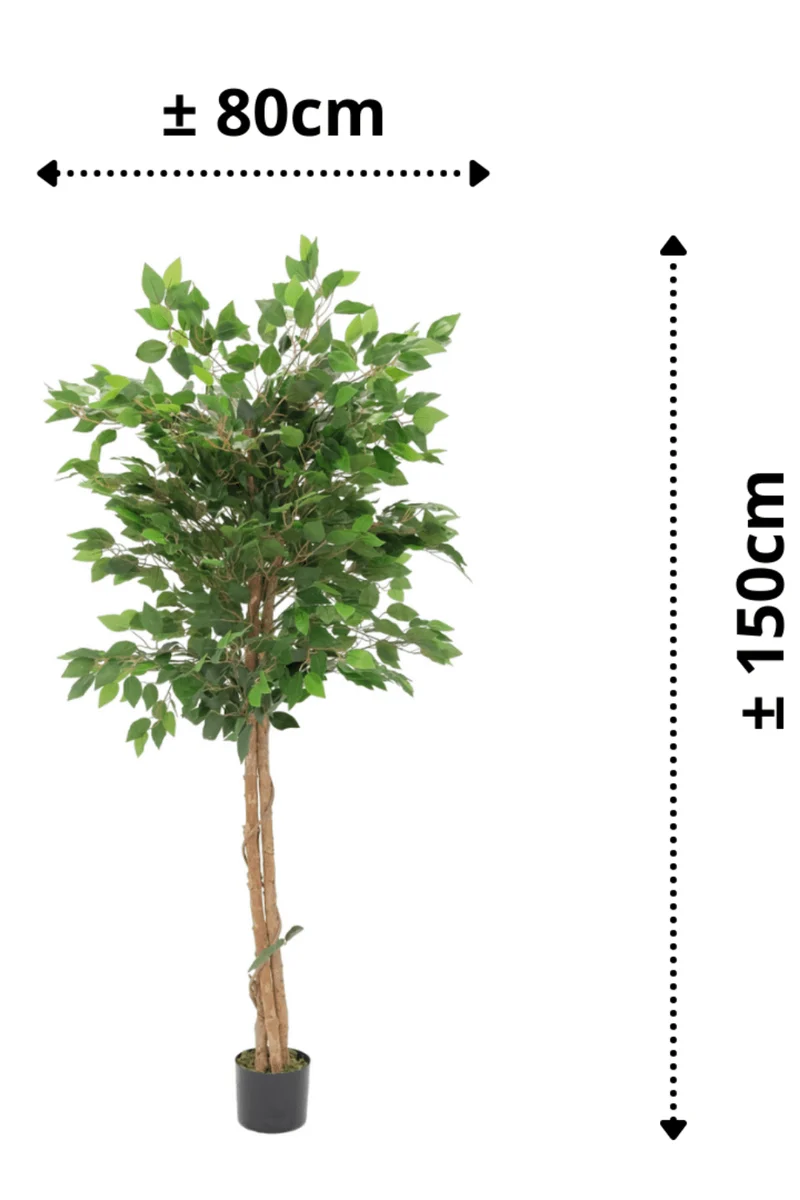Ficus Kunstpflanze 150cm